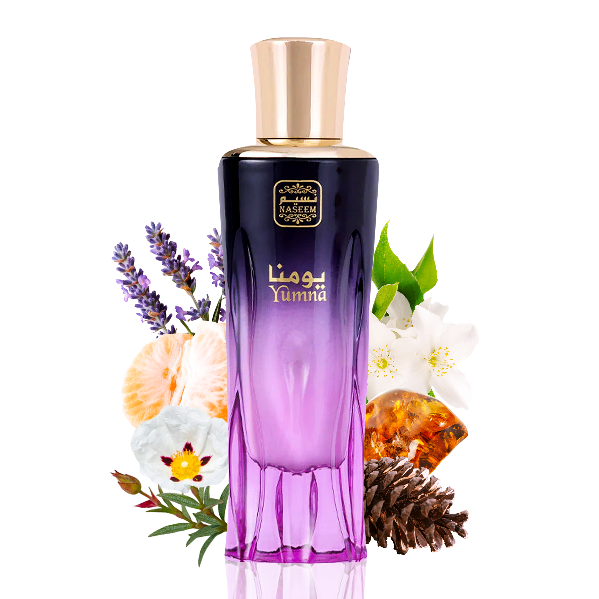 عطر YUMNA GOLDEN COLLECTION BY NASEEM -80ML